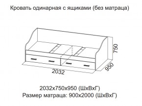 Кровать одинарная с ящиками (Без матраца 0,9*2,0) в Копейске - kopejsk.magazin-mebel74.ru | фото