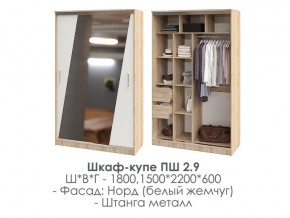 шкаф-купе ПШ-2.9 1500 Норд Белый жемчуг 1500 в Копейске - kopejsk.magazin-mebel74.ru | фото