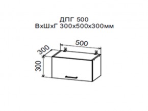 Шкаф верхний ДПГ500 горизонтальный в Копейске - kopejsk.magazin-mebel74.ru | фото