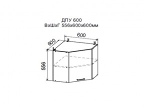Шкаф верхний ДПУ600 угловой в Копейске - kopejsk.magazin-mebel74.ru | фото